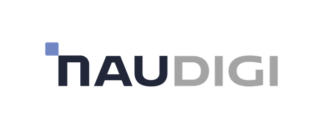 Naudigi Logo
